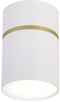 Накладной светильник Dunia 3067-1C