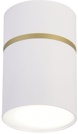 Накладной светильник Dunia 3067-1C