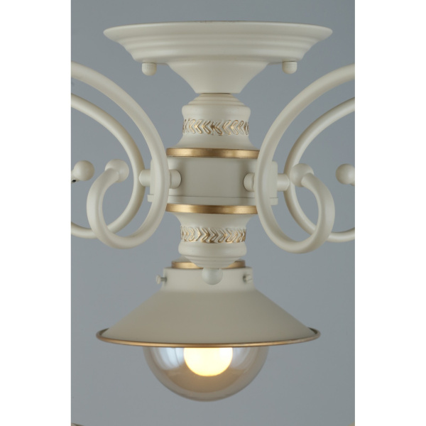 картинка Потолочная люстра Torri OML-50807-05 от магазина BTSvet