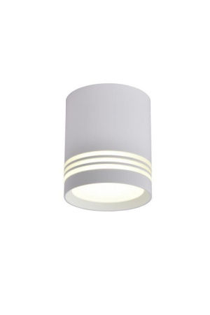 Накладной светильник светодиодный OML-100109-12