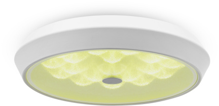 картинка Потолочный светильник светодиодный диммируемый с пультом регулировкой цветовой температуры и яркости Cells FR10012CL-L24W RGB от магазина BTSvet