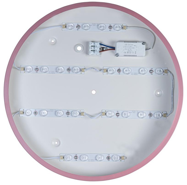 картинка Потолочный светильник светодиодный Axel 10002/24 Pink от магазина BTSvet
