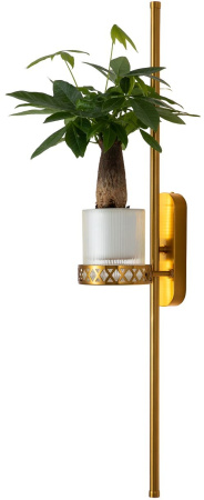 картинка Бра Greenery 4050-2W от магазина BTSvet