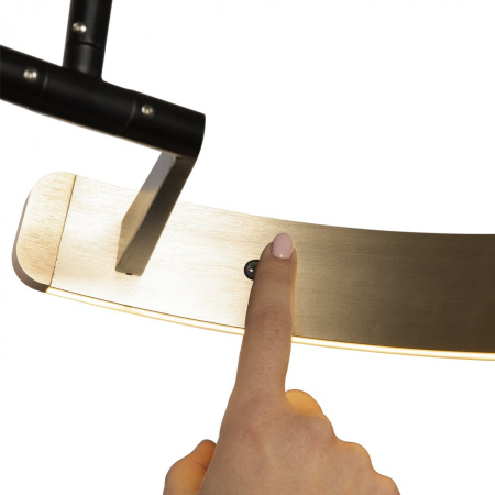 картинка Торшер светодиодный с выключателем Ring 10027 от магазина BTSvet