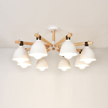 картинка Потолочная люстра FLAN 8 от магазина BTSvet