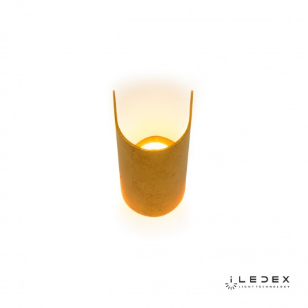 картинка Настенный светильник светодиодный Cute ZD8077-6W Gold от магазина BTSvet