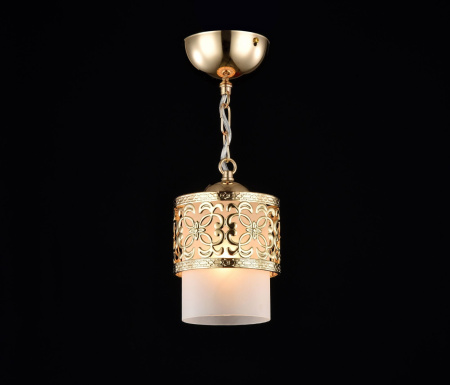 картинка Подвесной светильник Teofilo FR2200-PL-01-G от магазина BTSvet