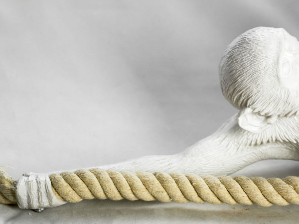 картинка Подвесной светильник с обезьяной LSP-9993 от магазина BTSvet