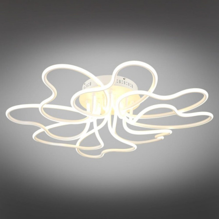 картинка Потолочная люстра светодиодная OML-04307-160 от магазина BTSvet