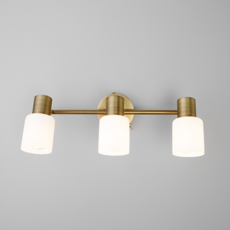 картинка Спот Corso 20089/3 от магазина BTSvet