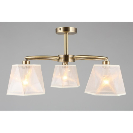 картинка Потолочная люстра OML-65017-03 от магазина BTSvet