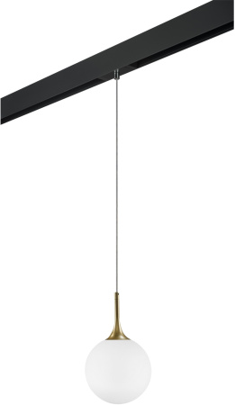 Трековый светильник однофазный 220V Lightstar Globo PRO813022