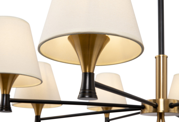 картинка Потолочная люстра Perfetto FR5098PL-08BBS от магазина BTSvet