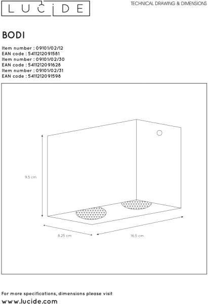картинка Точечный накладной светильник Bodi 09101/02/31 от магазина BTSvet