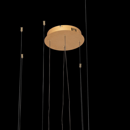 картинка Подвесной светильник светодиодный Ring 10017/4L от магазина BTSvet