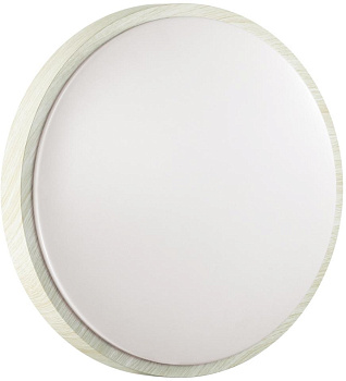 Настенно-потолочный светильник Losta 7628/AL