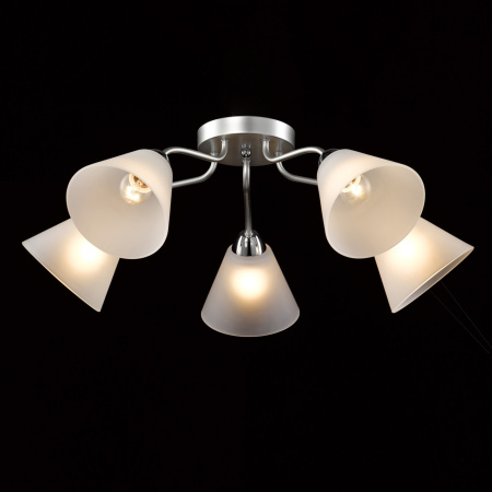 картинка Потолочная люстра Нежность 676015205 от магазина BTSvet