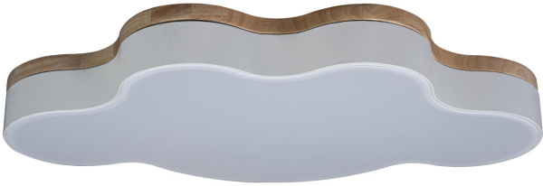 Потолочный светильник светодиодный для детской Axel 10005/36 White