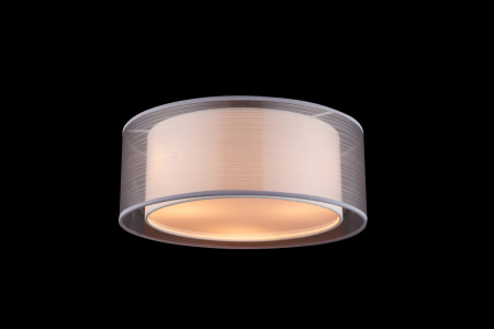 картинка Потолочный светильник Theo 15190D от магазина BTSvet