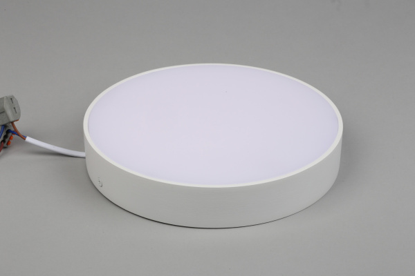 картинка Потолочный светильник светодиодный Evon APL.0113.09.24 от магазина BTSvet