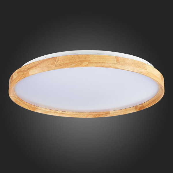 картинка Потолочный светильник светодиодный с регулировкой цветовой температуры Delia SLE201382-01 от магазина BTSvet