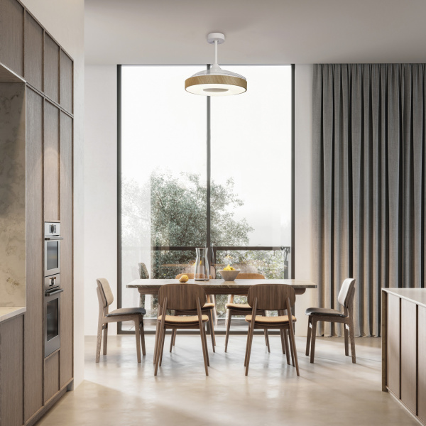 картинка Потолочная люстра светодиодная с вентилятором Mantra Coin 8217 от магазина BTSvet