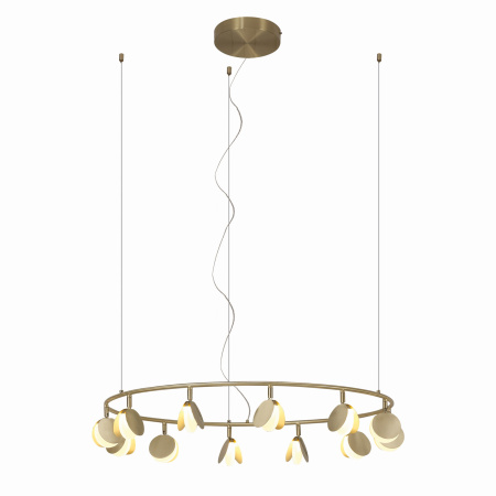 Подвесная люстра светодиодная Shell 7260