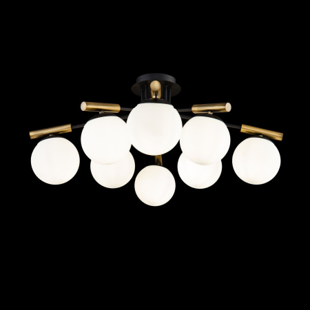 картинка Потолочная люстра Paolina FR5011CL-08B от магазина BTSvet