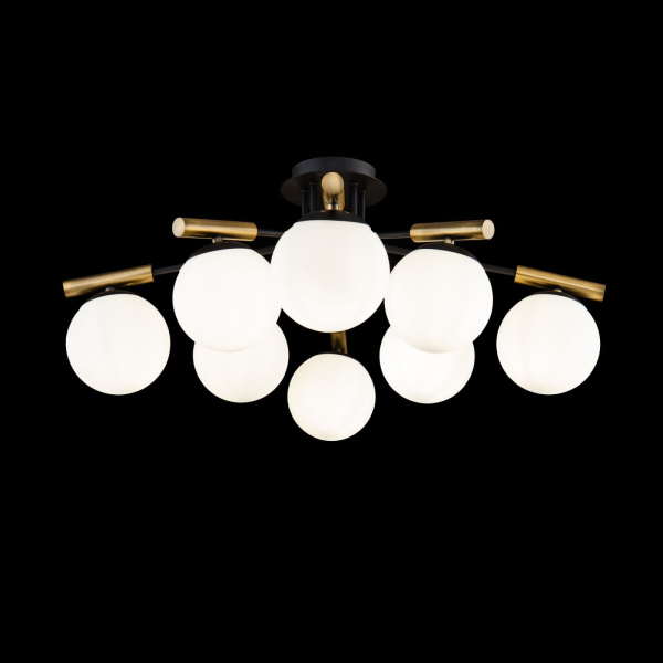 картинка Потолочная люстра Paolina FR5011CL-08B от магазина BTSvet