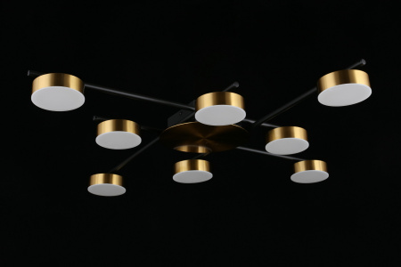 картинка Потолочная люстра на штанге Delayn APL.042.07.56 от магазина BTSvet