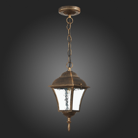 картинка Уличный светильник подвесной Domenico SL082.203.01 IP44 от магазина BTSvet