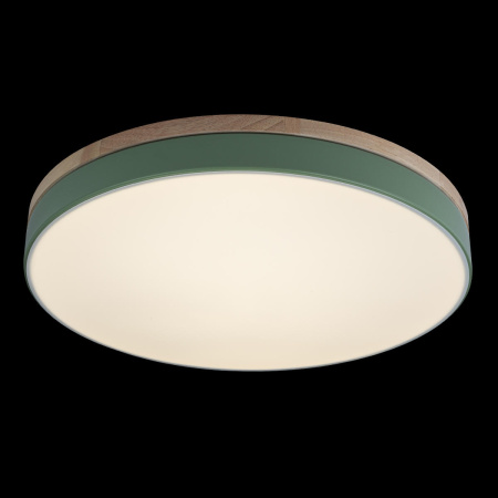 картинка Потолочный светильник светодиодный Axel 10001/36 Green от магазина BTSvet