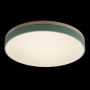 картинка Потолочный светильник светодиодный Axel 10001/36 Green от магазина BTSvet