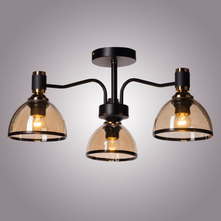 картинка Потолочная люстра на штанге Дэла 635010903 от магазина BTSvet