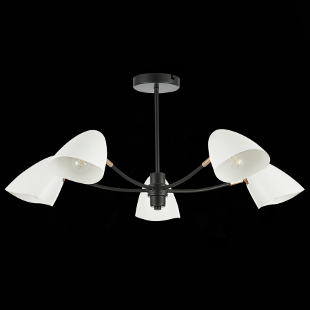 картинка Потолочная люстра Satta SLE103602-05 от магазина BTSvet