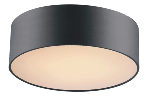 Потолочный светильник Cerchi 1514-2C1