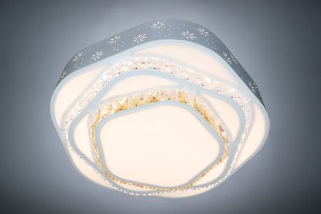 картинка Потолочный светодиодный светильник с пультом TECHNOLOGY STYLE 71025/1W от магазина BTSvet