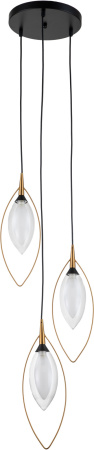 картинка Подвесной светильник Fiore V000143 (13001/3P Black) от магазина BTSvet
