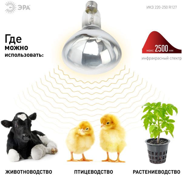 картинка Инфракрасная лампа ЗРА ИКЗ 220-250 R127 Е27 / E27 для обогрева животных и освещения 250 Вт от магазина BTSvet