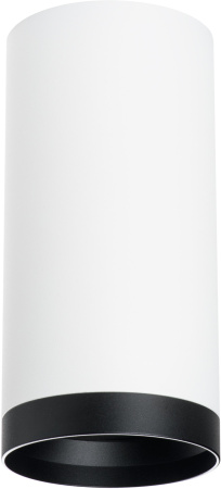 Точечный накладной светильник Rullo R64863487 (216486+203487)