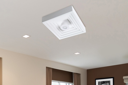 картинка Настенно-потолочный светильник светодиодный Gesso 10218/SG LED от магазина BTSvet