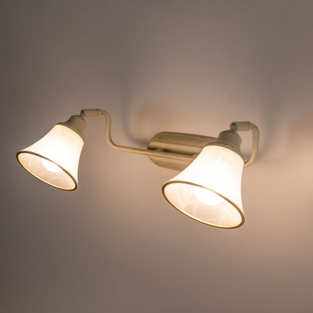 картинка Спот Прованс CL511524 от магазина BTSvet