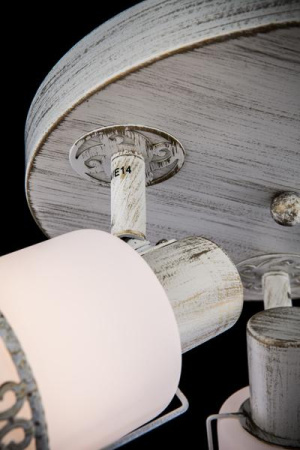 картинка Спот 20026/3 белый с золотом от магазина BTSvet