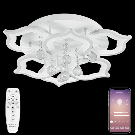 картинка Потолочная люстра светодиодная с пультом и управлением смартфоном регулировкой цветовой температуры и яркости ночным режимом и таймером HIGH-TECH LED LAMPS 82028 от магазина BTSvet