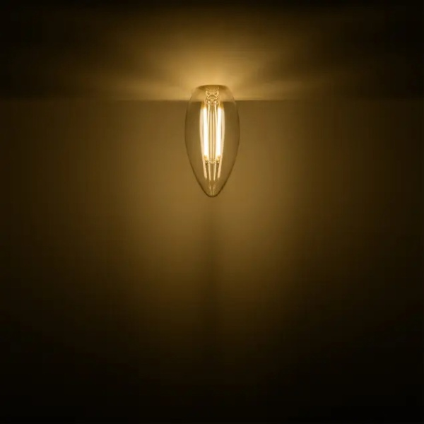 картинка Лампочка светодиодная филаментная 103801111 от магазина BTSvet