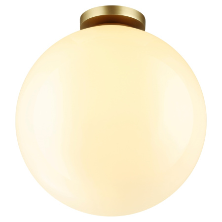 Потолочный светильник уличный светодиодный Bosco 4250/1C IP44