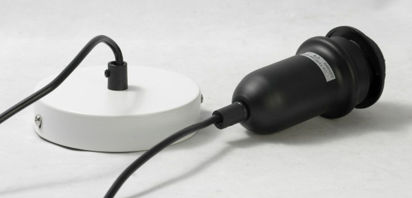 картинка Подвесной светильник лофт LSP-9848 от магазина BTSvet