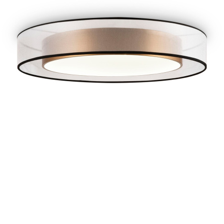 Потолочный светильник светодиодный Zoticus FR6005CL-L48G