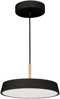 Подвесной светильник LED SP-ELEGANT-R300-17W Day4000 (BK, 120 deg, 230V) (Arlight, IP20 Металл, 3 года) 033920