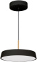 картинка Подвесной светильник LED SP-ELEGANT-R300-17W Day4000 (BK, 120 deg, 230V) (Arlight, IP20 Металл, 3 года) 033920 от магазина BTSvet